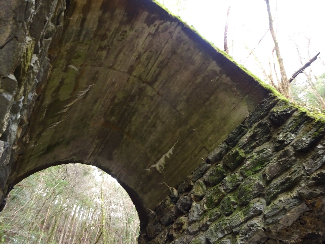 f:id:msx4:20200206160209j:plain