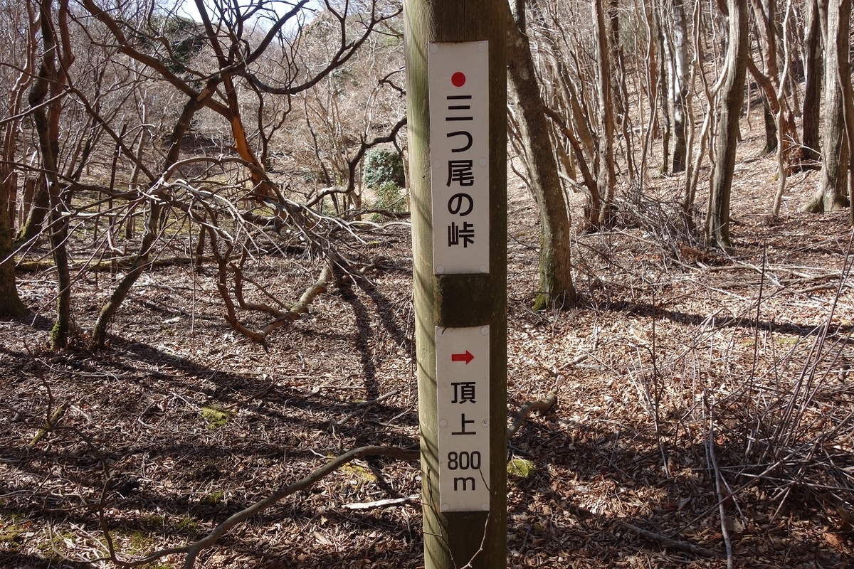 f:id:msx4:20200505210308j:plain