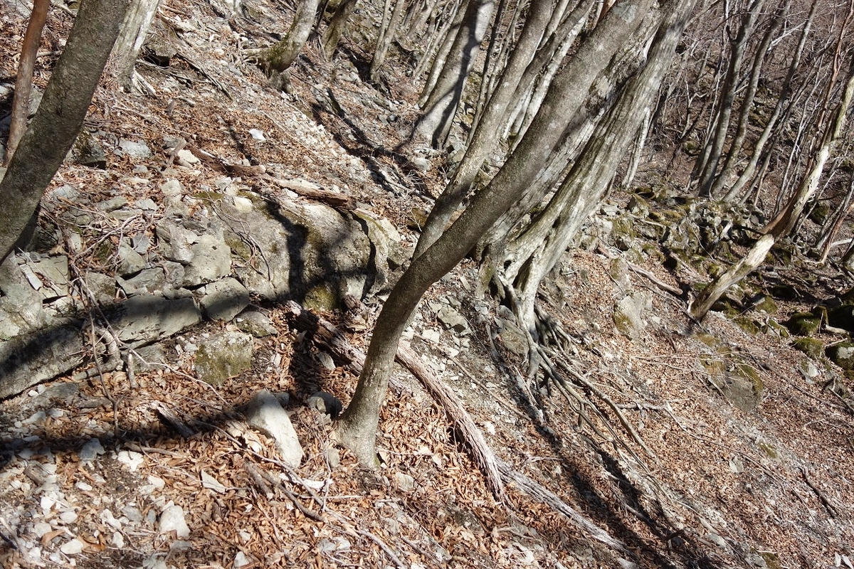 f:id:msx4:20200508221053j:plain