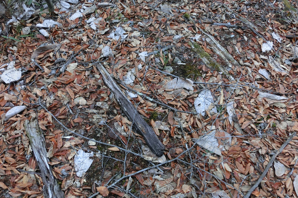 f:id:msx4:20200522222056j:plain