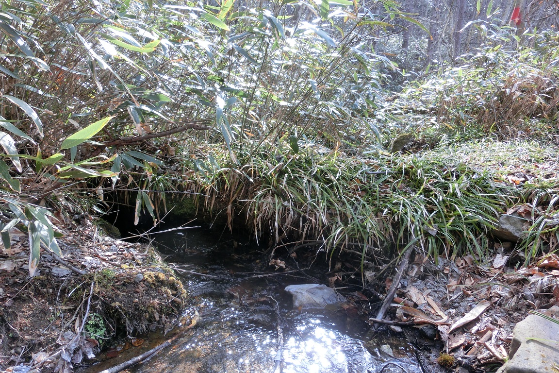 f:id:msx4:20200527162332j:plain