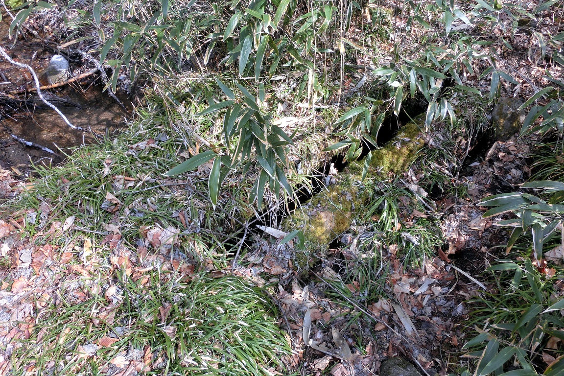 f:id:msx4:20200527162633j:plain