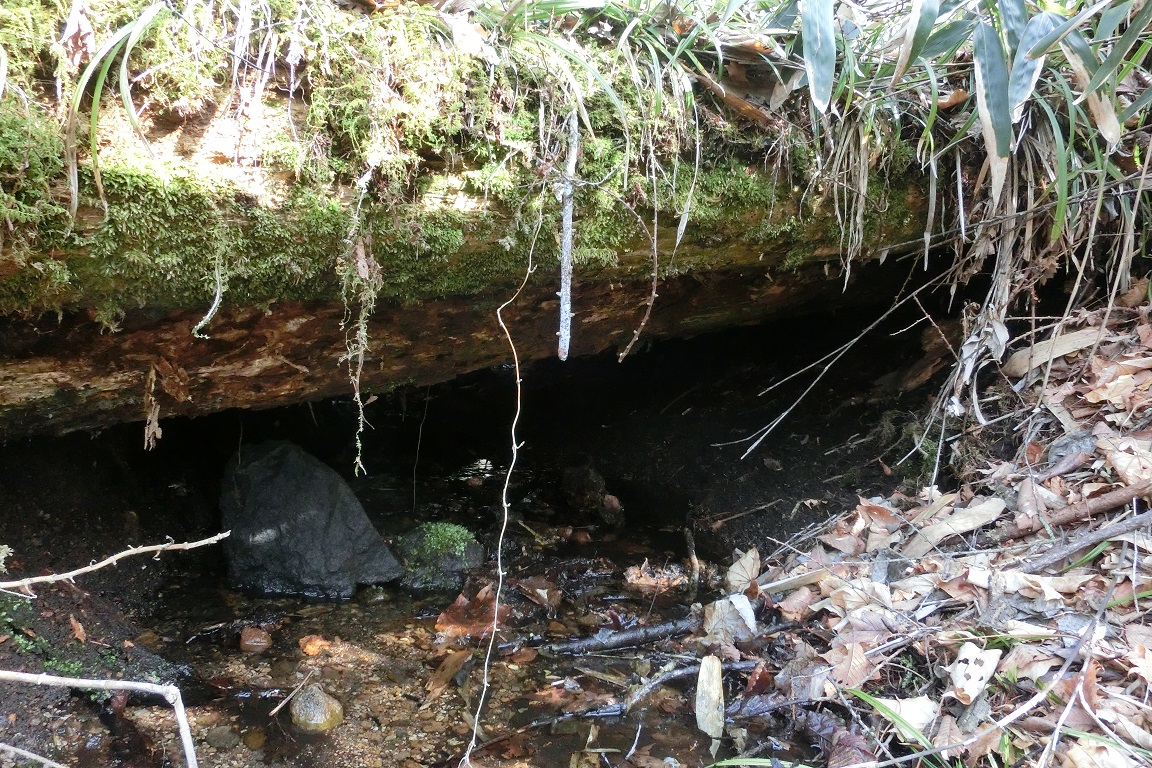 f:id:msx4:20200527163233j:plain