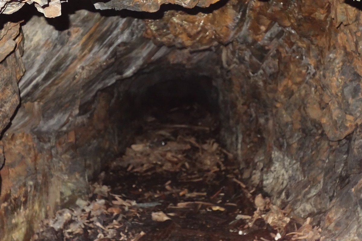 f:id:msx4:20200601230801j:plain