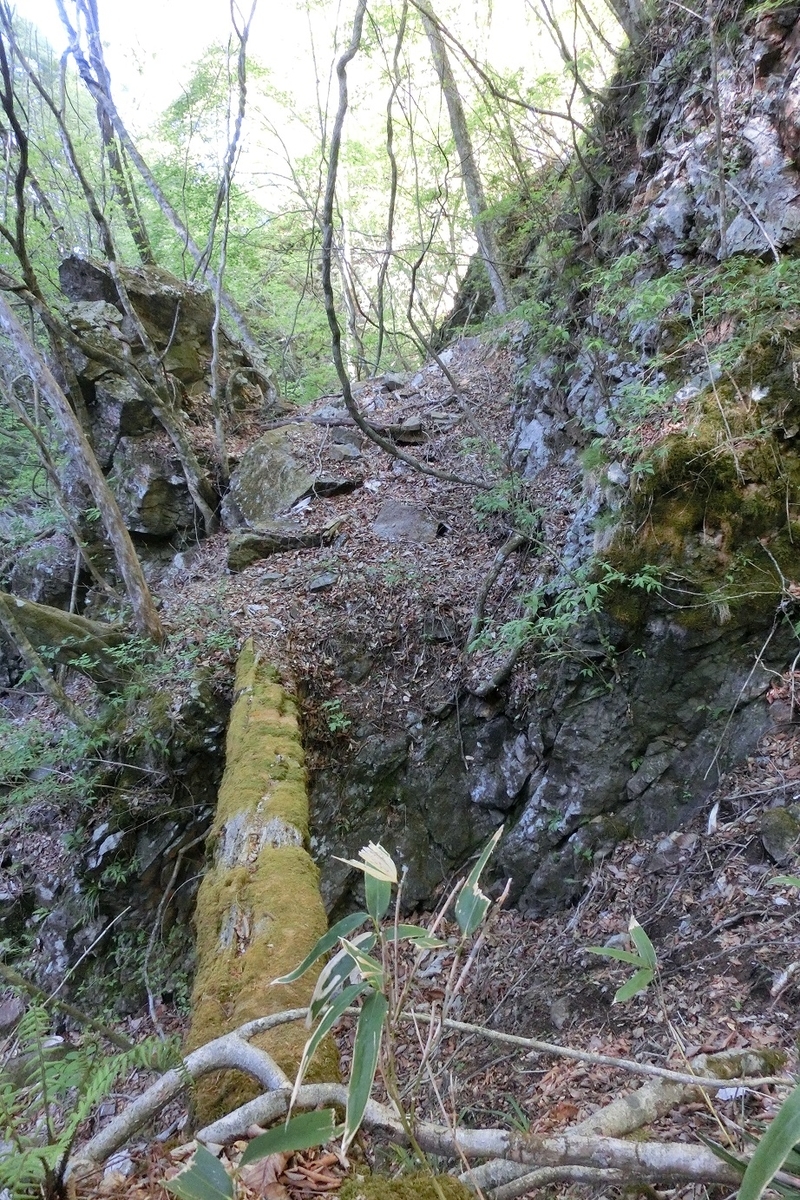 f:id:msx4:20200708234610j:plain