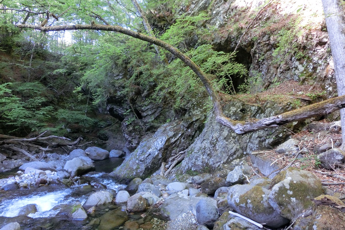 f:id:msx4:20200708234649j:plain