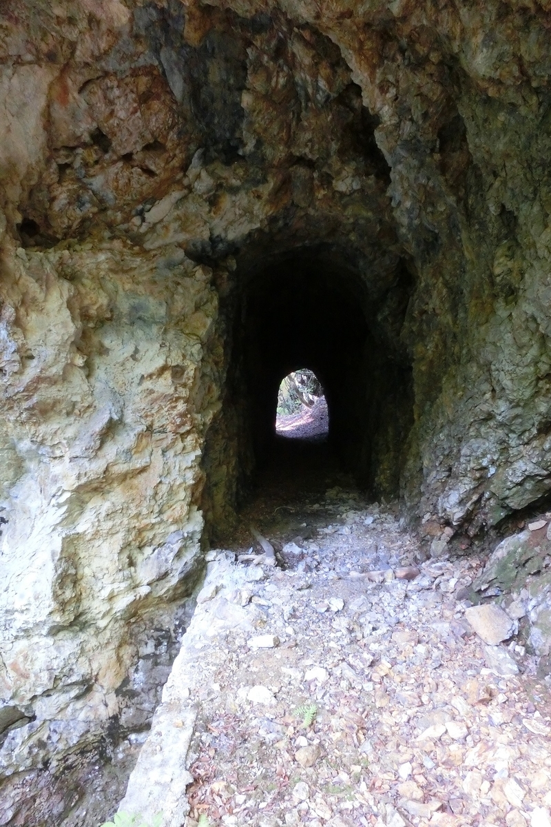 f:id:msx4:20200708234822j:plain