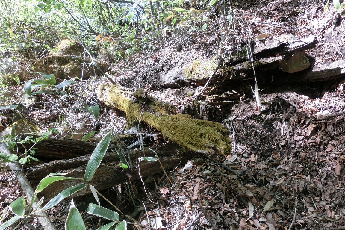 f:id:msx4:20200708235828j:plain