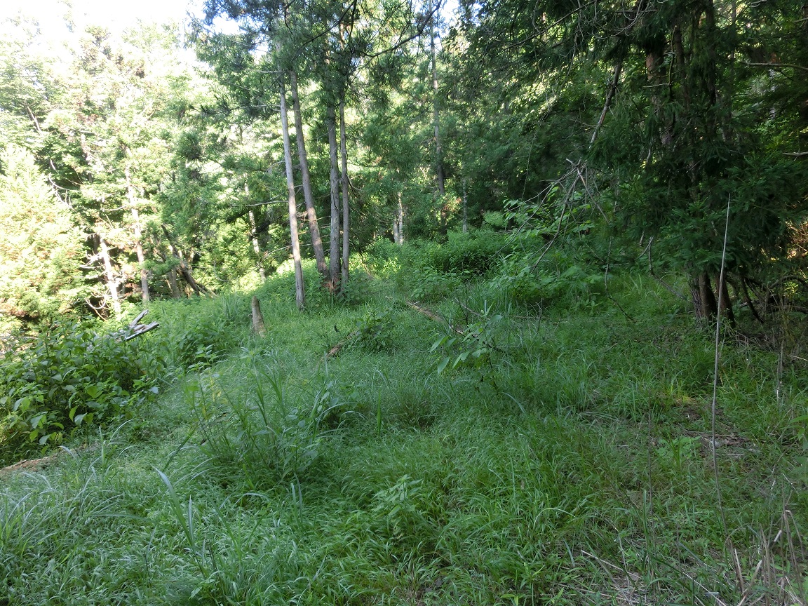 f:id:msx4:20200719000315j:plain