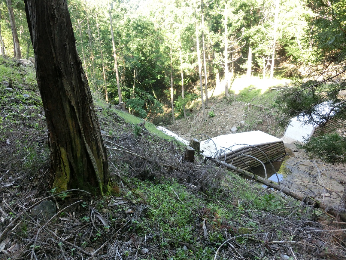 f:id:msx4:20200719001454j:plain