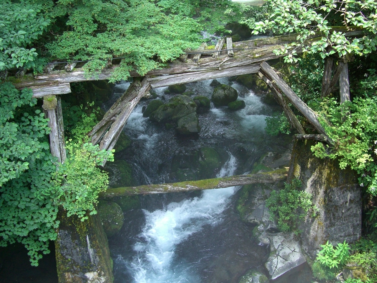 f:id:msx4:20200818005450j:plain