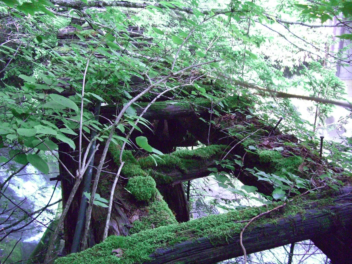 f:id:msx4:20200818005600j:plain