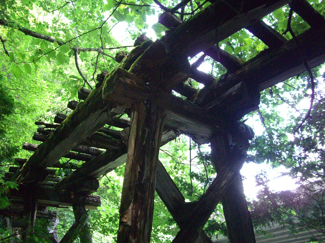 f:id:msx4:20200818213450j:plain