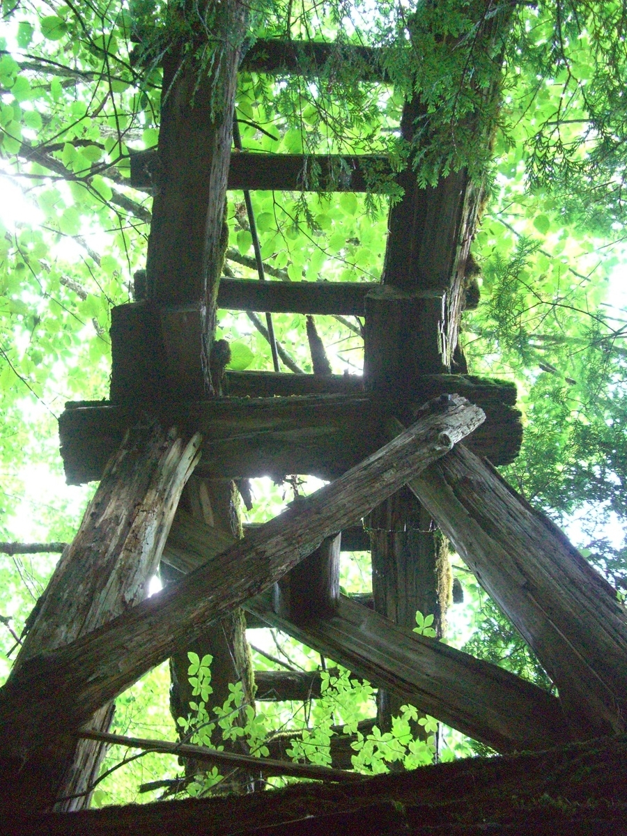 f:id:msx4:20200818213530j:plain