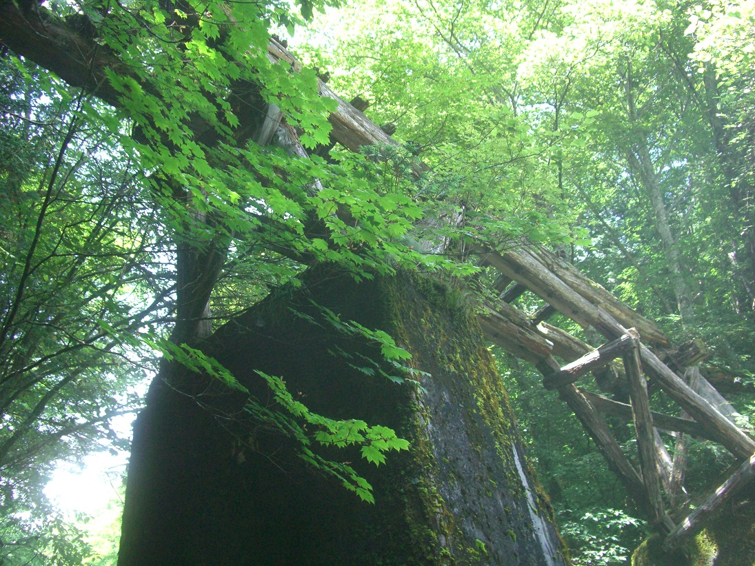 f:id:msx4:20200818213650j:plain