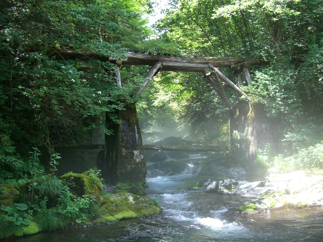 f:id:msx4:20200818213806j:plain