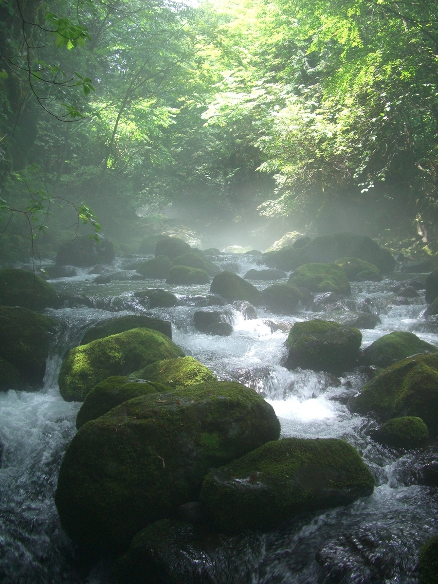 f:id:msx4:20200819234214j:plain