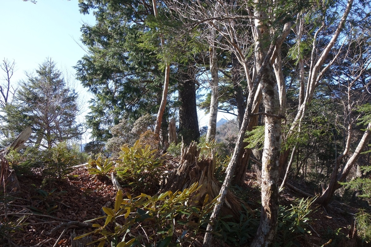 f:id:msx4:20200906084237j:plain