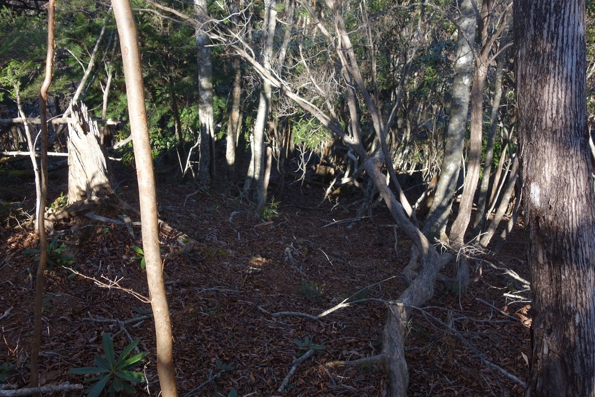 f:id:msx4:20200906084343j:plain