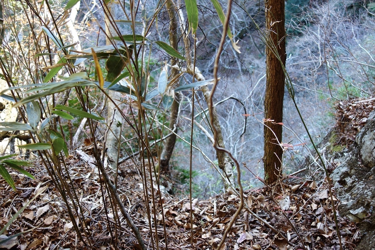 f:id:msx4:20200909233027j:plain