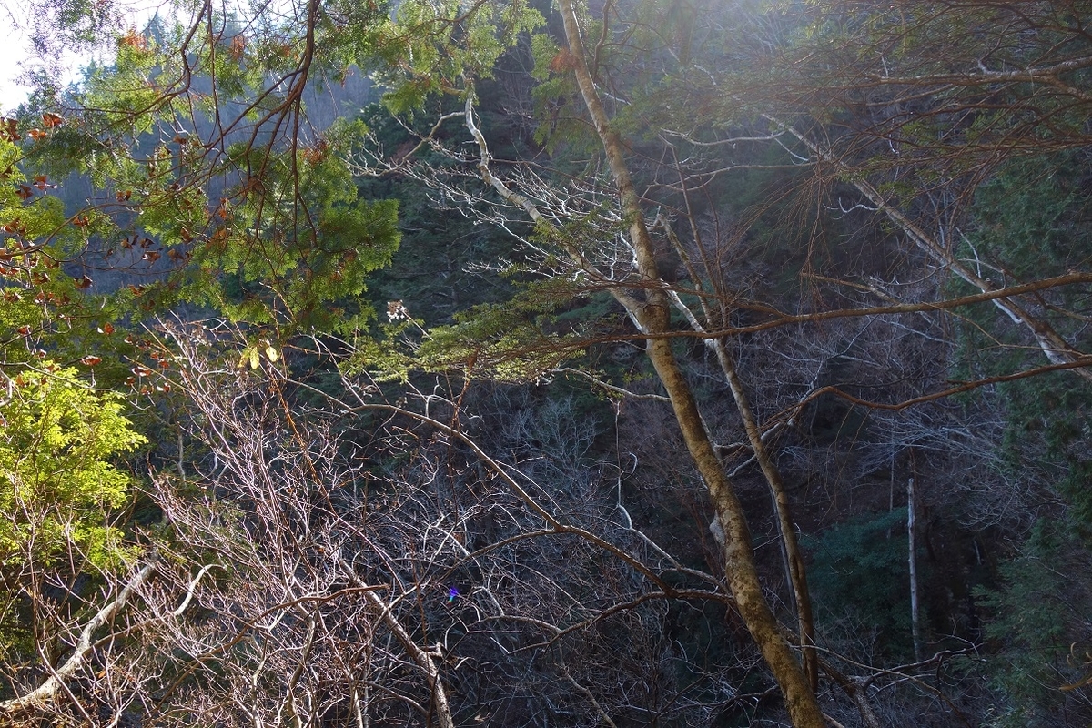 f:id:msx4:20200909233106j:plain