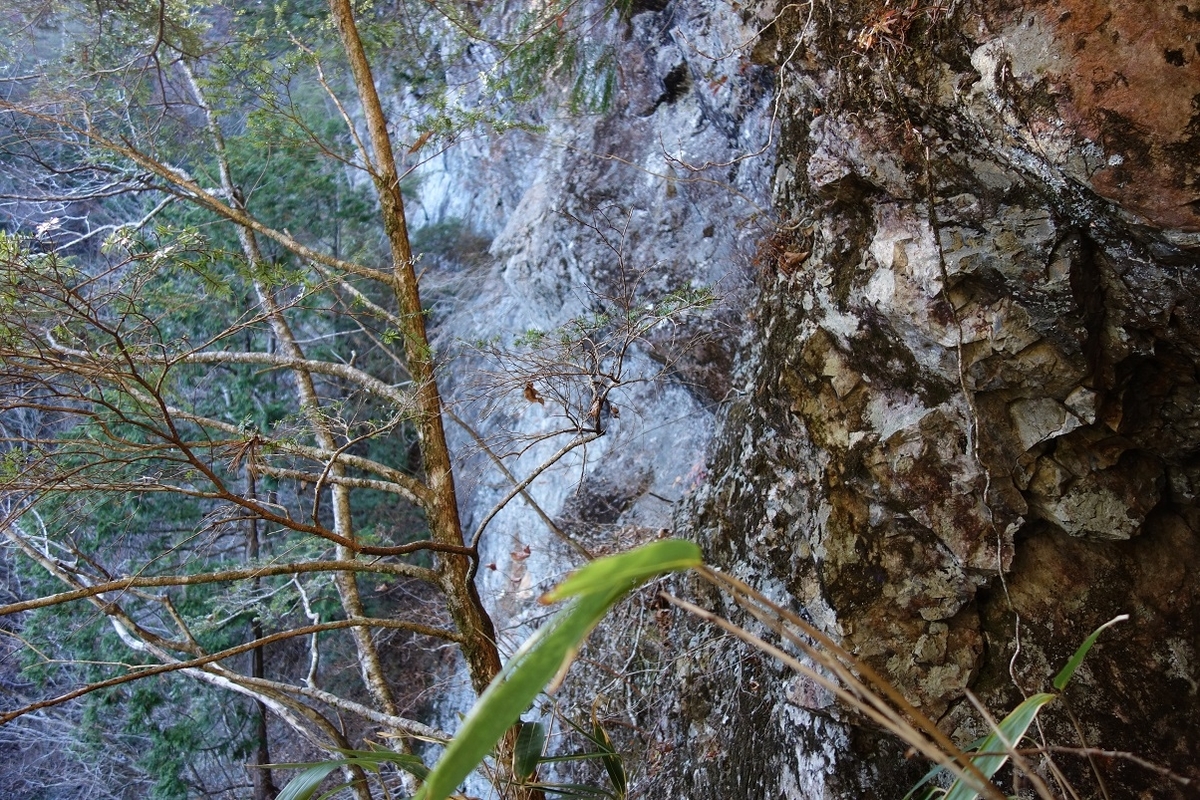 f:id:msx4:20200909233244j:plain