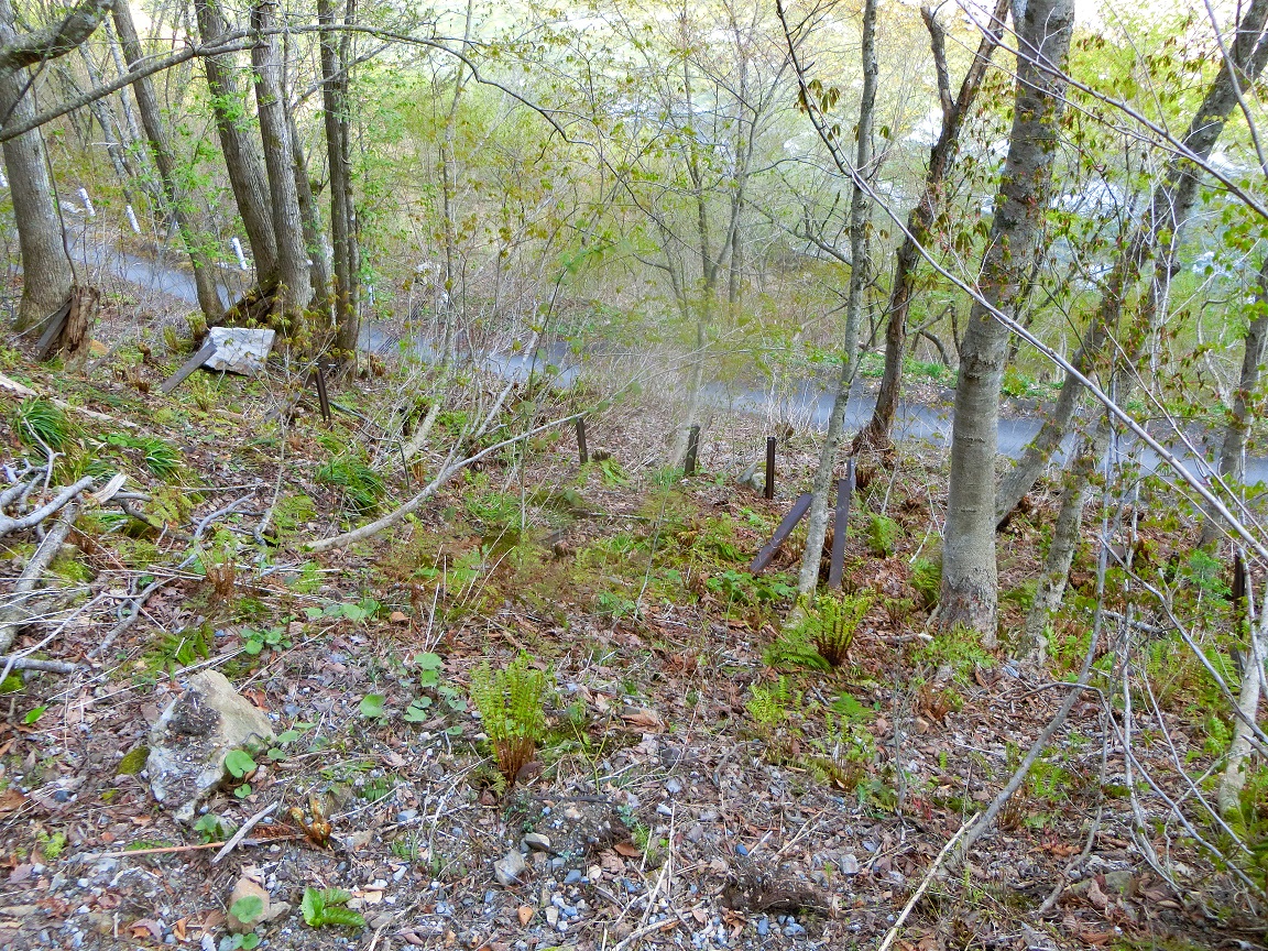 f:id:msx4:20200922004822j:plain