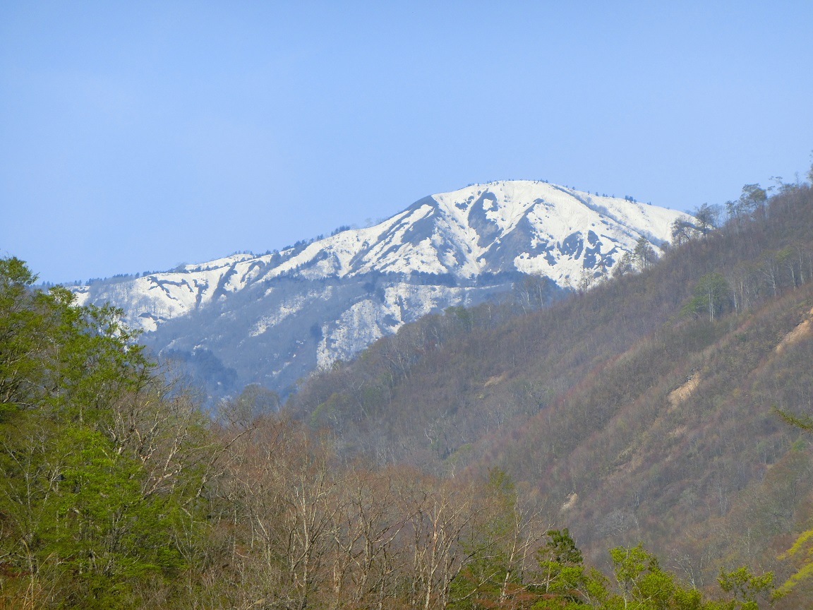 f:id:msx4:20200922232137j:plain