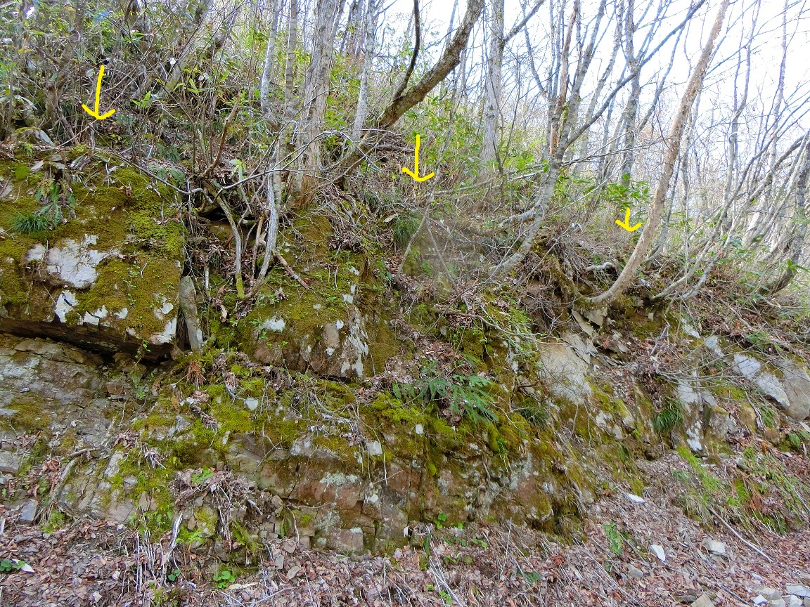 f:id:msx4:20200923090849j:plain