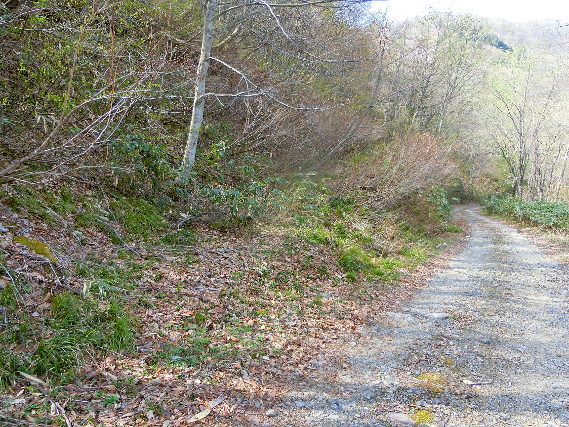 f:id:msx4:20200923091328j:plain