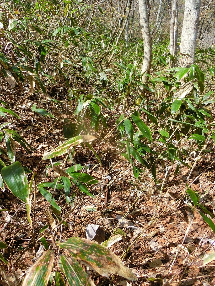 f:id:msx4:20200925230949j:plain