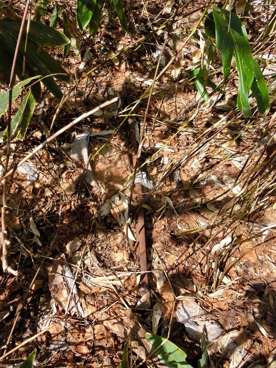 f:id:msx4:20200926092741j:plain