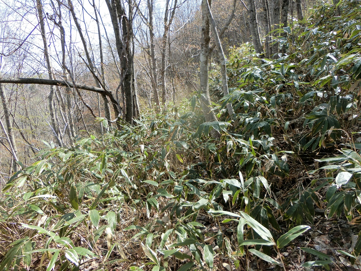 f:id:msx4:20200926101006j:plain