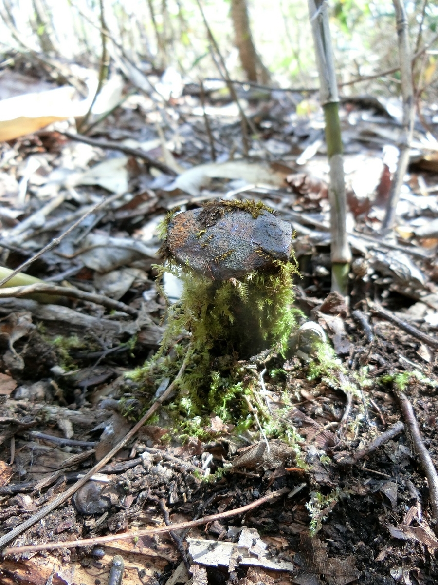 f:id:msx4:20200926101108j:plain