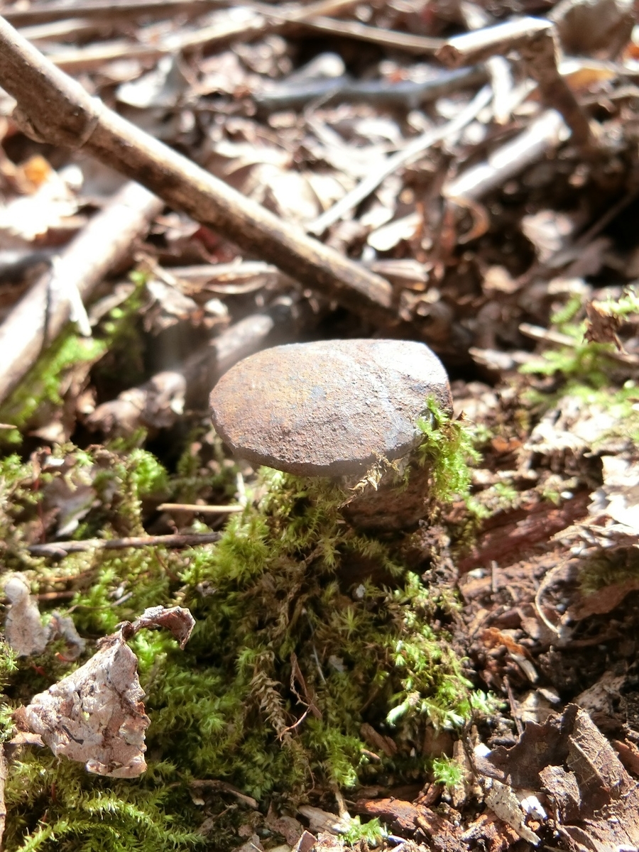 f:id:msx4:20200926101151j:plain