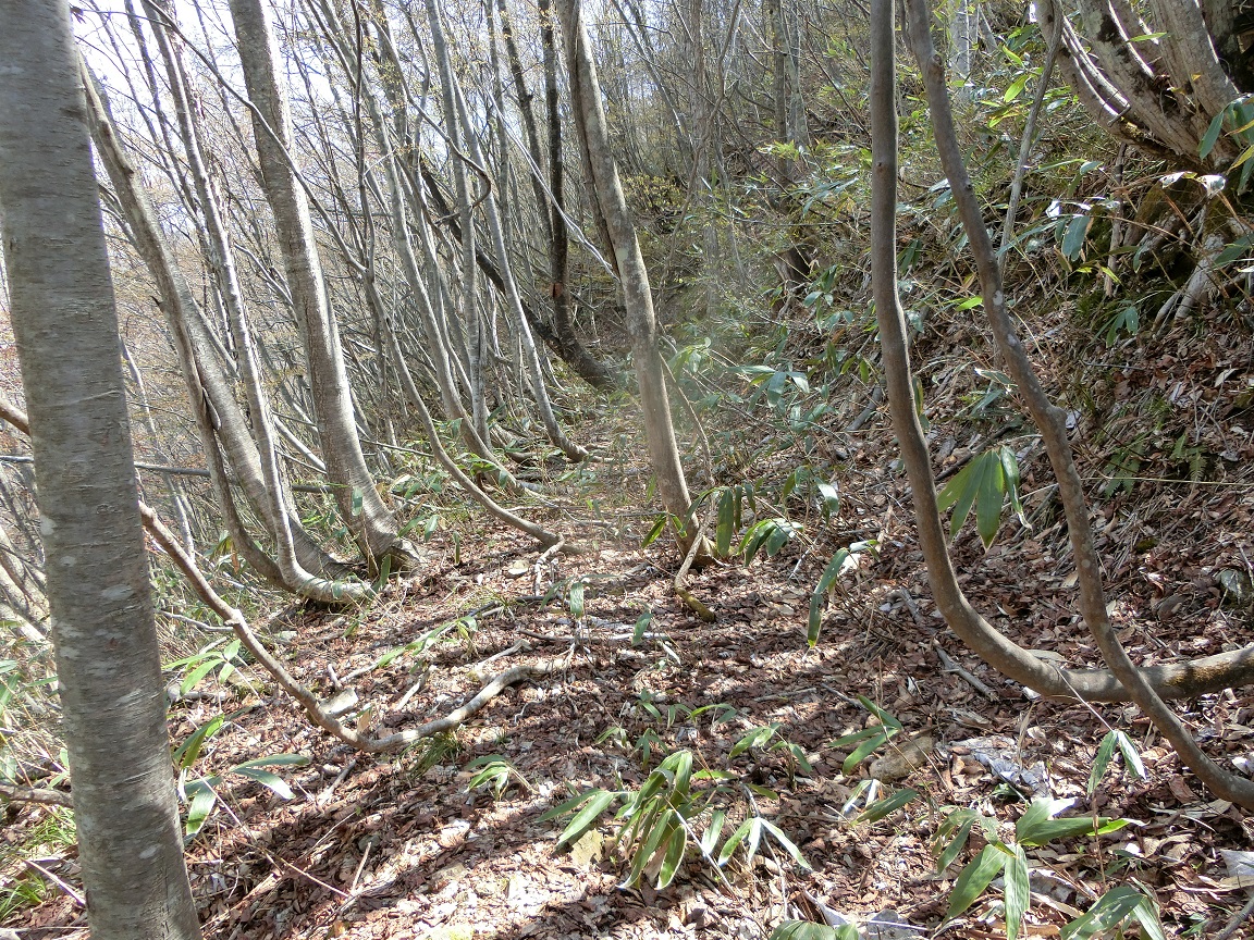 f:id:msx4:20200926101418j:plain