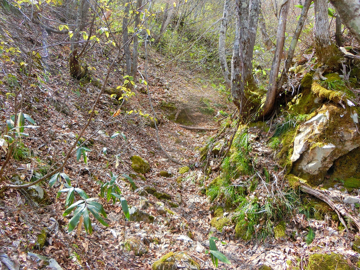 f:id:msx4:20200927002936j:plain