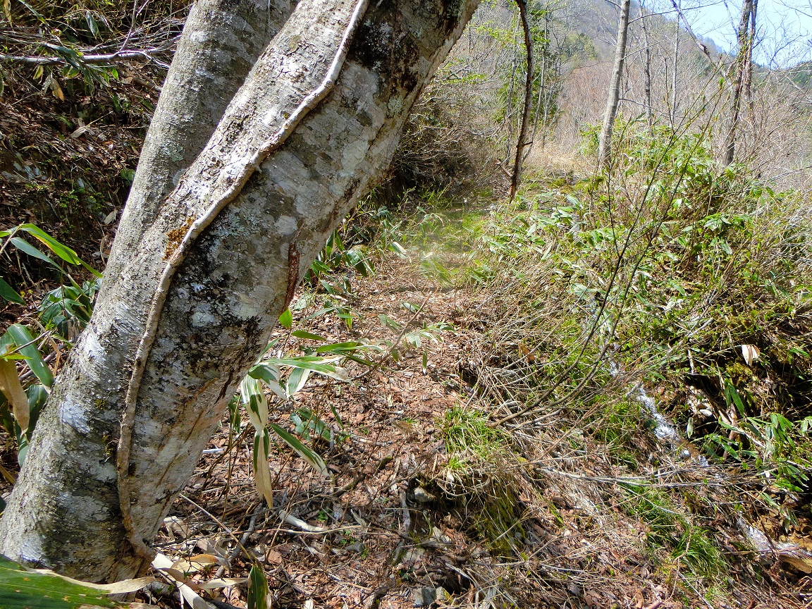 f:id:msx4:20200927012647j:plain