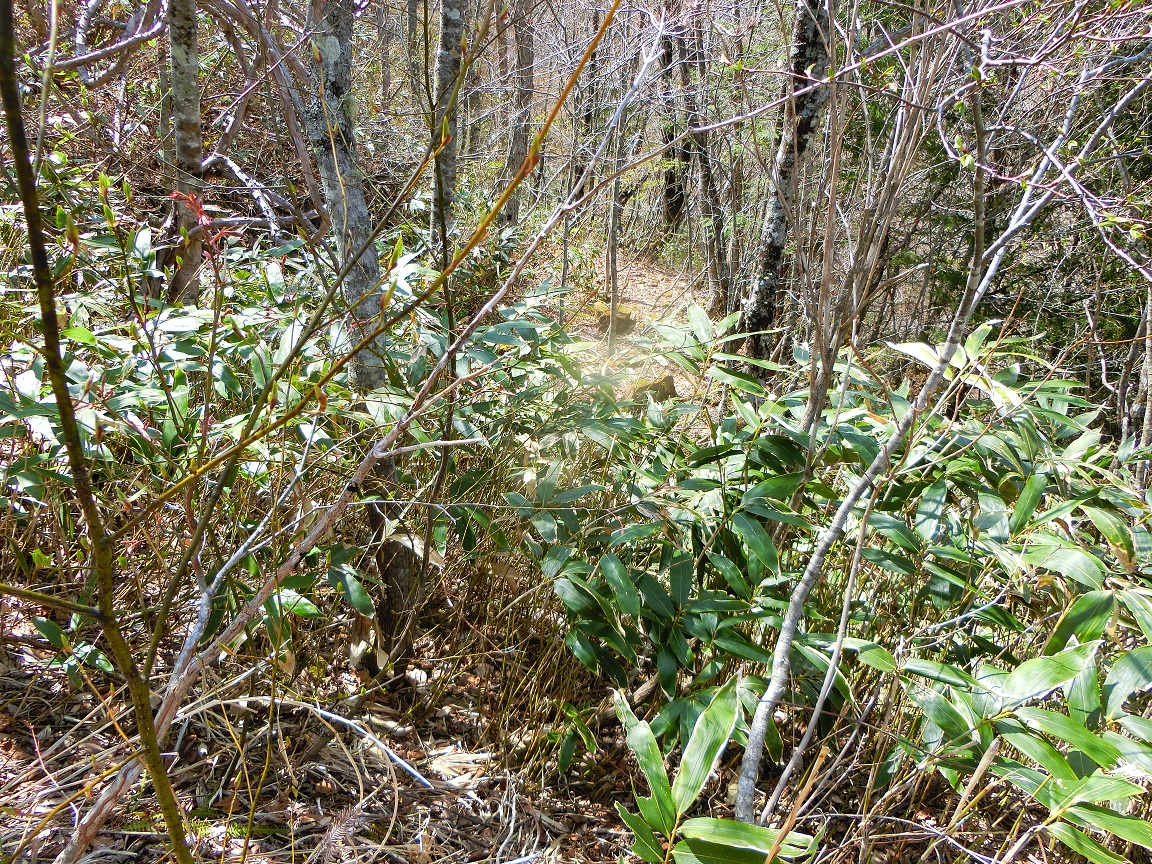 f:id:msx4:20200927102352j:plain