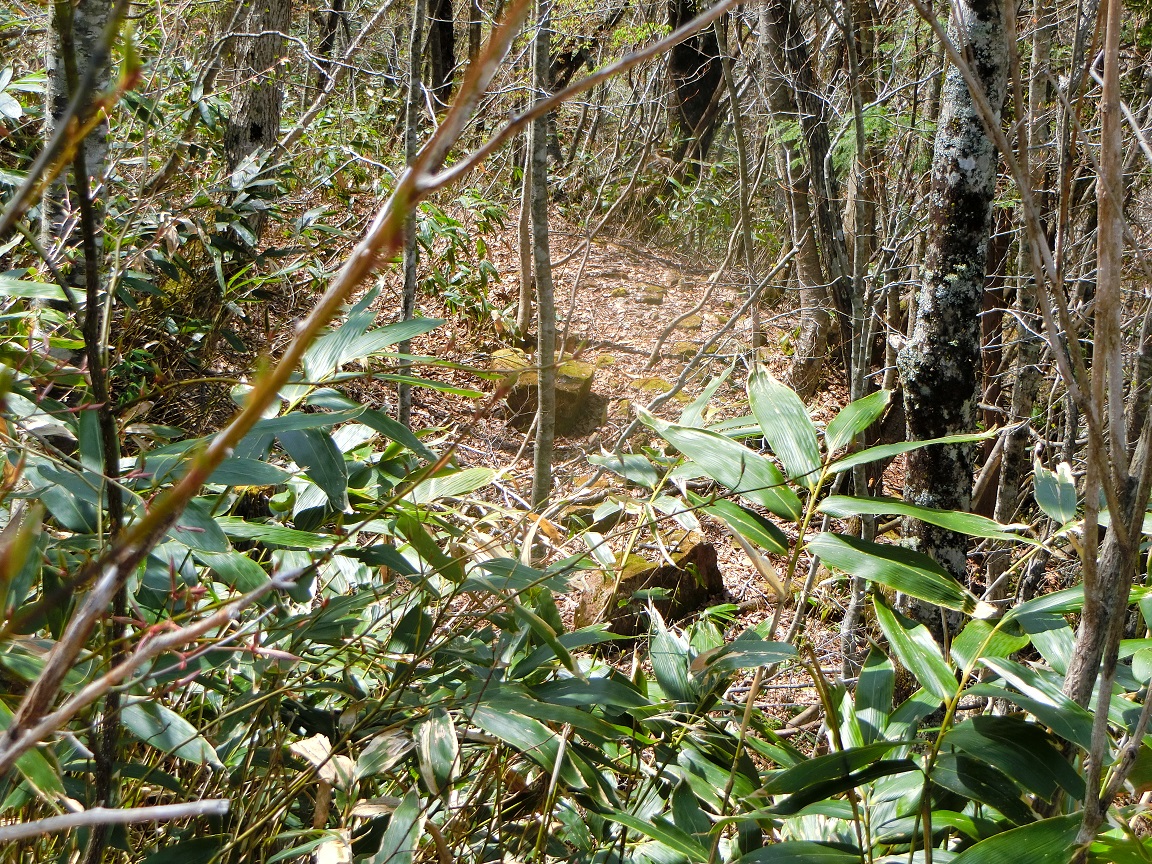 f:id:msx4:20200927102804j:plain