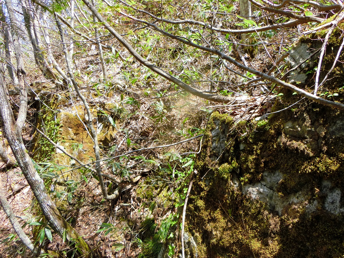 f:id:msx4:20200928231359j:plain