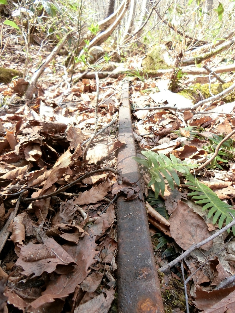 f:id:msx4:20200929000722j:plain