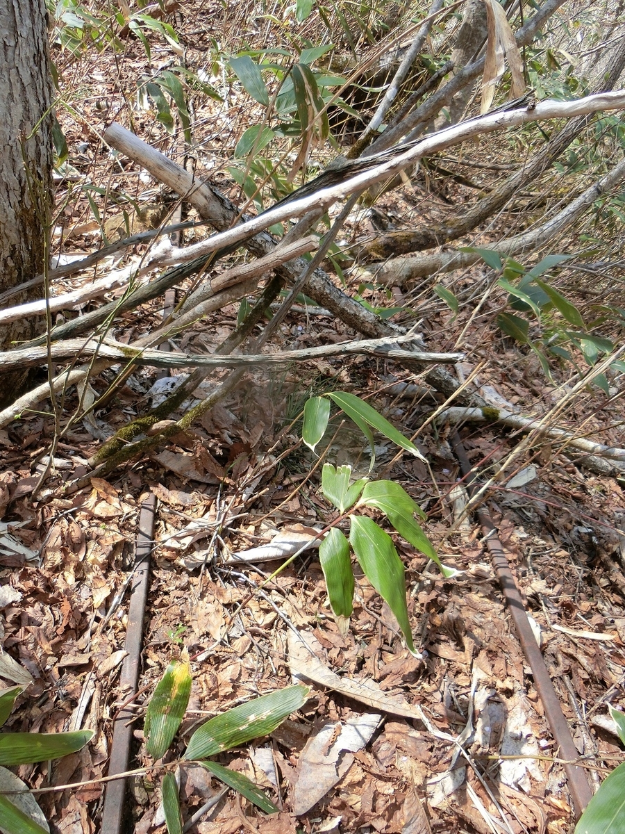 f:id:msx4:20200929000935j:plain