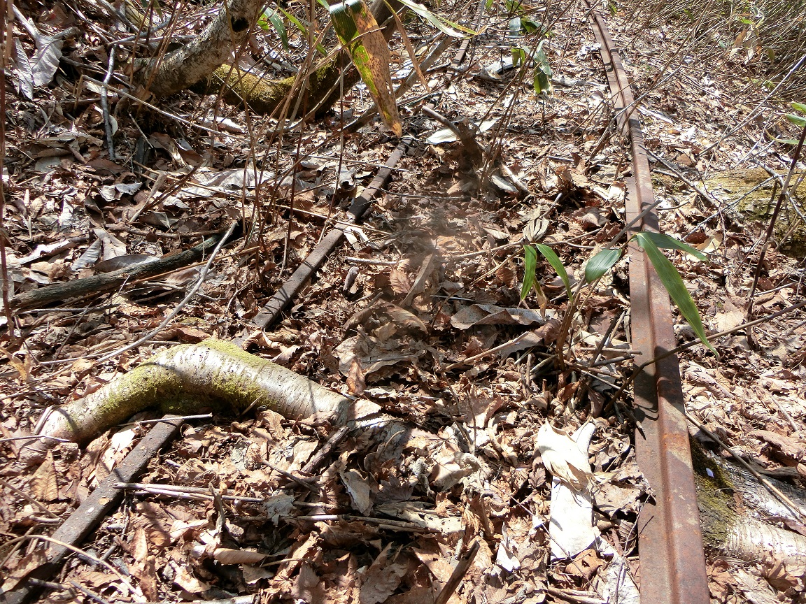 f:id:msx4:20200929001045j:plain