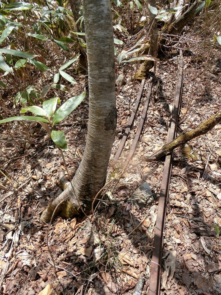 f:id:msx4:20200930121203j:plain