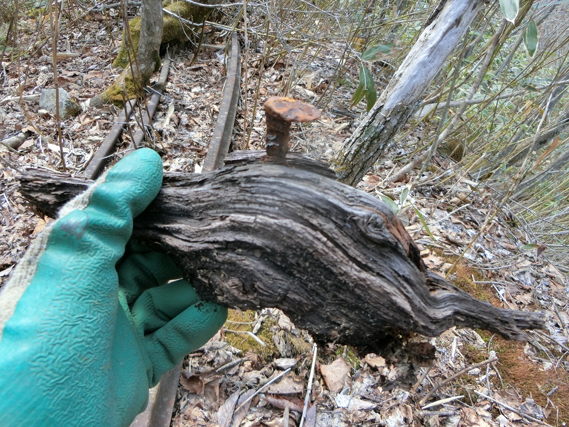 f:id:msx4:20200930123506j:plain