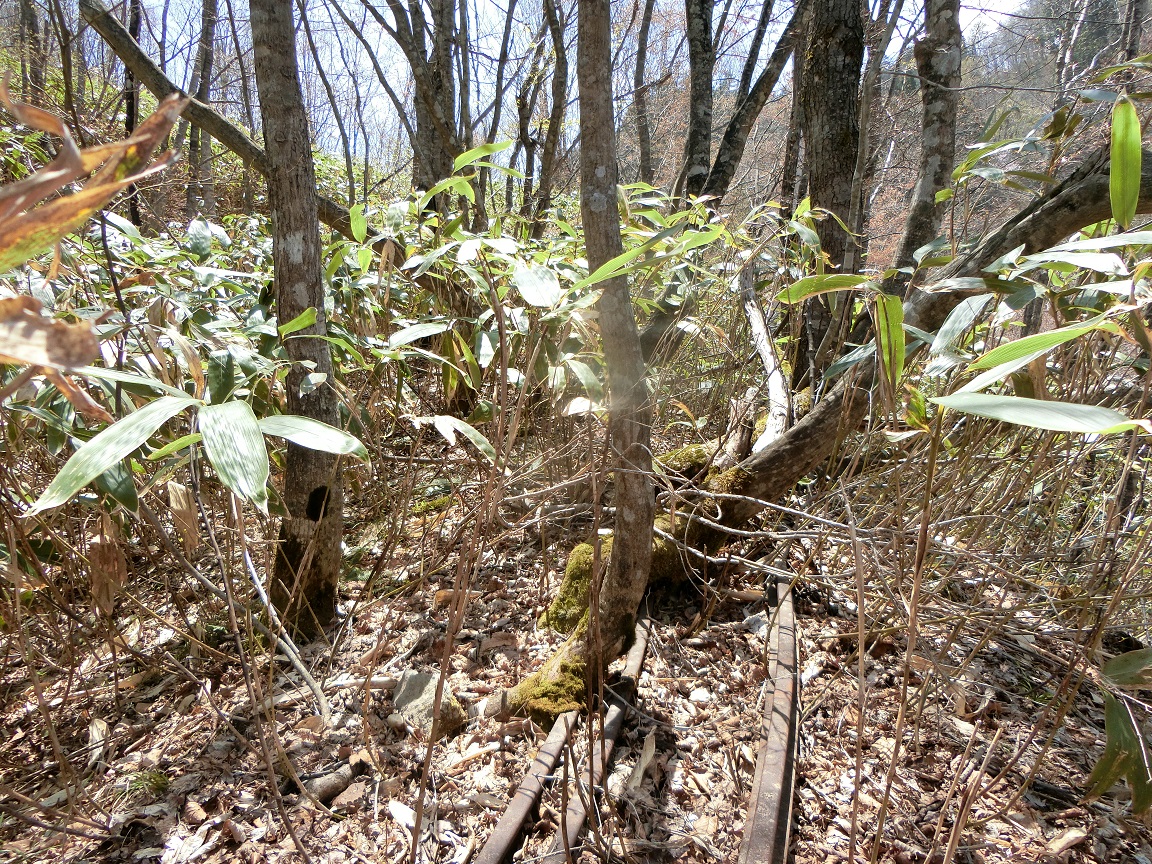 f:id:msx4:20200930124045j:plain