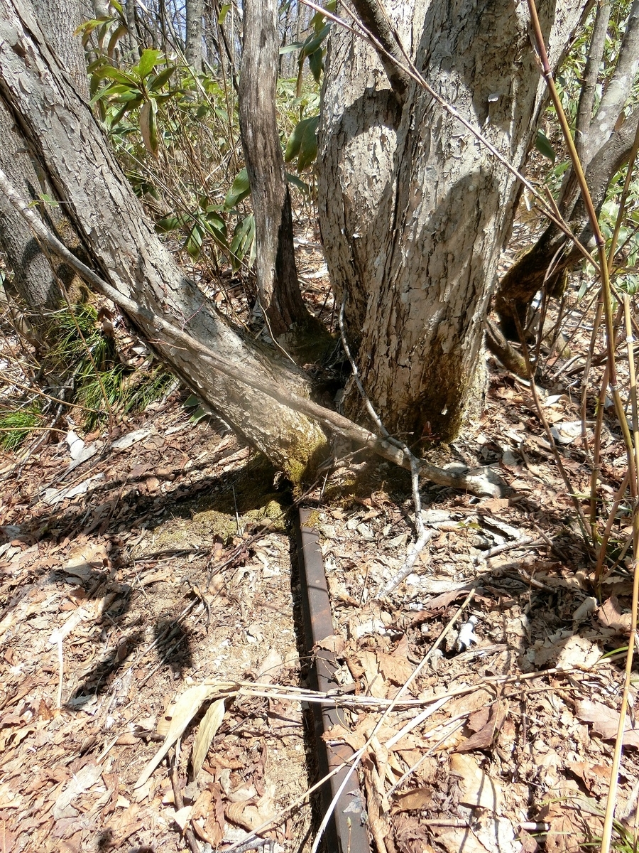 f:id:msx4:20200930131038j:plain