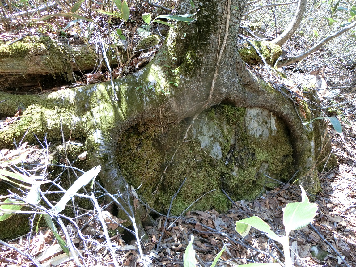 f:id:msx4:20200930181349j:plain