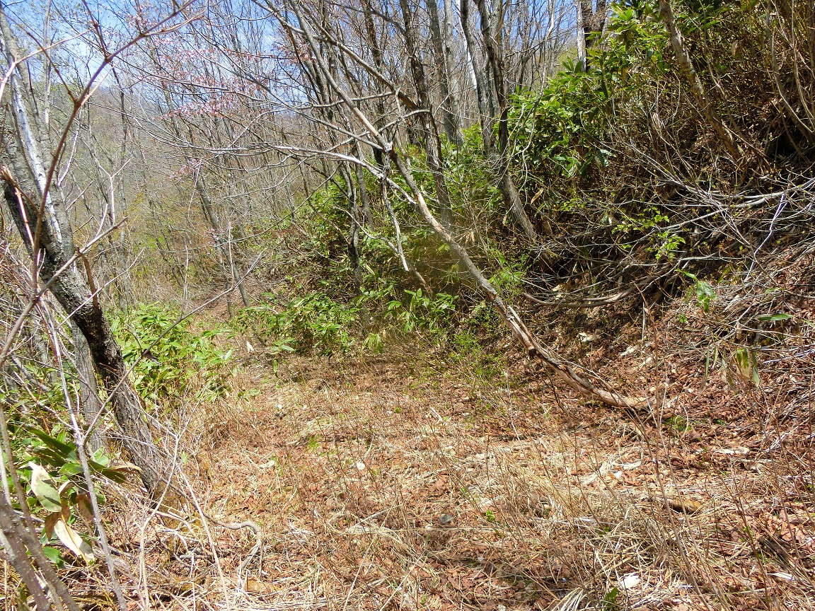 f:id:msx4:20200930182640j:plain